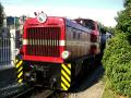 die 199 013